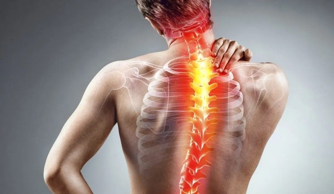 Conservative Back Pain Management